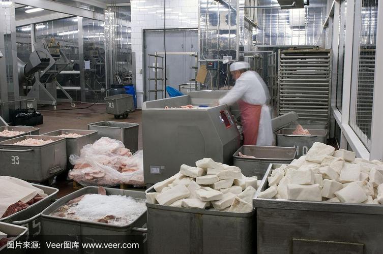食品加工廠的絞肉機(jī)生產(chǎn)設(shè)備
