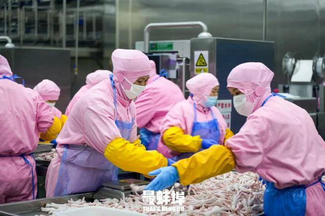 蚌埠人是如何靠一只雞"征服"全世界的?
